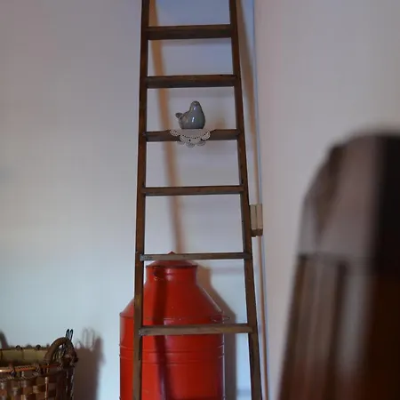 Casa Do Alfaiate 別荘