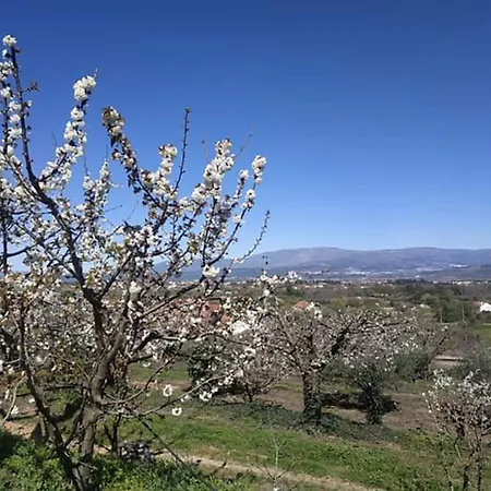 Casa Do Alfaiate * Chaos (Castelo Branco)
