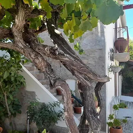 別荘 Casa Do Alfaiate *