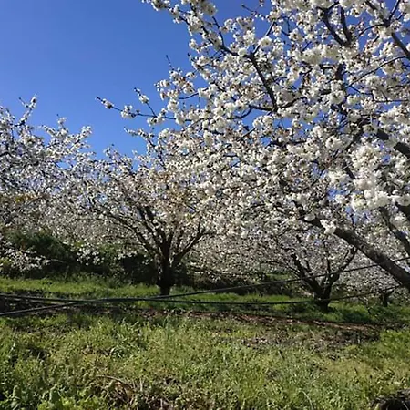 Prázdninový dům Casa Do Alfaiate Chaos (Castelo Branco)