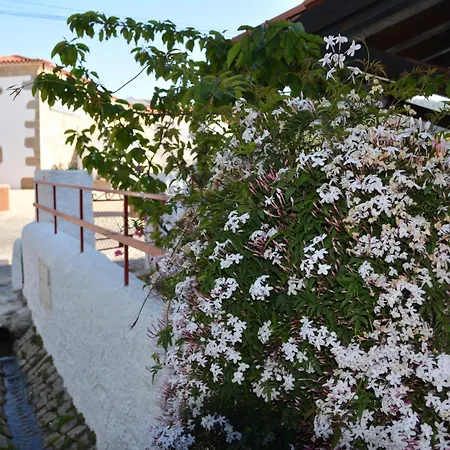 Casa Do Alfaiate * Chaos (Castelo Branco)