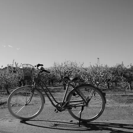 Casa Do Alfaiate Prázdninový dům Chaos (Castelo Branco)