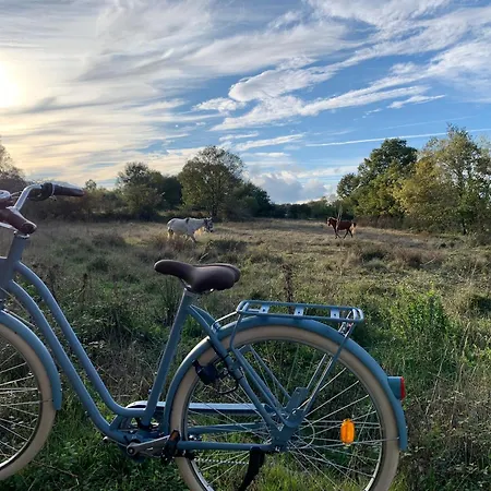 Prázdninový dům Casa Do Alfaiate Chaos (Castelo Branco)