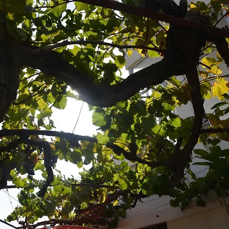 Casa Do Alfaiate Prázdninový dům Chaos (Castelo Branco)