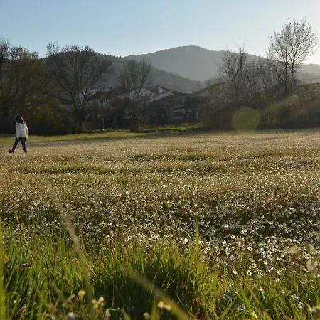 Casa Do Alfaiate 別荘 *