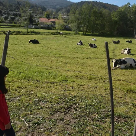 Prázdninový dům Casa Do Alfaiate Chaos (Castelo Branco)