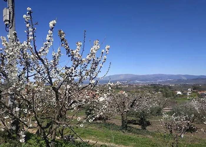 Casa Do Alfaiate * Chaos (Castelo Branco)