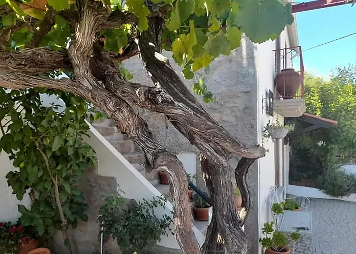 Casa vacanze Casa Do Alfaiate *