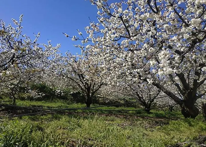 Casa vacanze Casa Do Alfaiate Chaos (Castelo Branco)