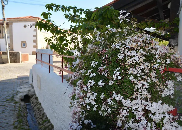 Casa Do Alfaiate * Chaos (Castelo Branco)