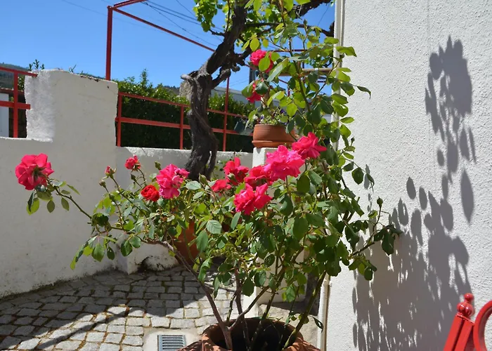 Casa Do Alfaiate * Chaos (Castelo Branco)