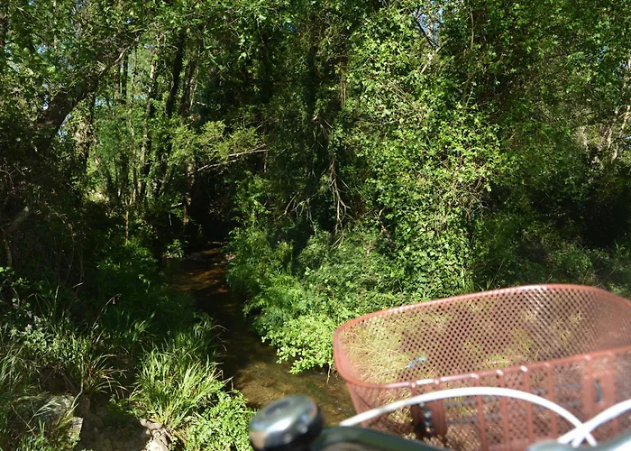 Casa de Férias Casa Do Alfaiate *