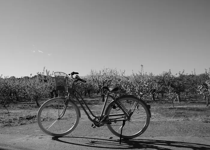Casa Do Alfaiate Casa vacanze Chaos (Castelo Branco)