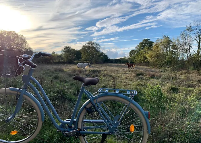 Casa de Férias Casa Do Alfaiate Chaos (Castelo Branco)
