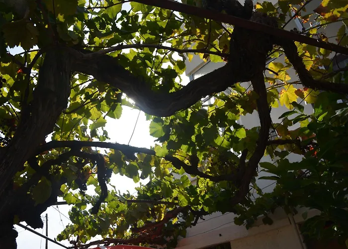 Casa Do Alfaiate Casa de Férias Chaos (Castelo Branco)