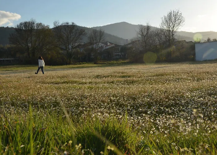 Casa Do Alfaiate Casa de Férias *