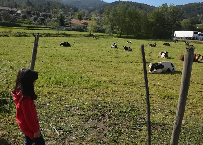 Casa vacanze Casa Do Alfaiate Chaos (Castelo Branco)